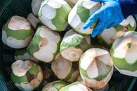 Saham Produsen Air Kelapa Thailand IFBH Melonjak pada Debutnya di Hong Kong